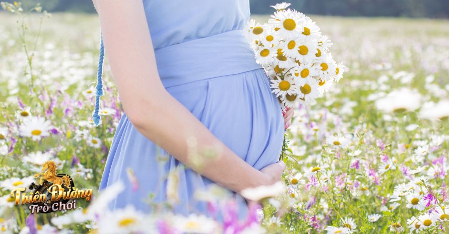 Nằm mơ thấy mình có bầu đánh số mấy, là điềm báo lành hay dữ? 4 Nằm mơ thấy mình có bầu đánh số mấy may mắn nhất?