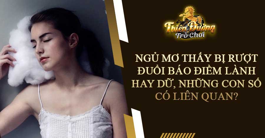 Ngủ mơ thấy bị rượt đuổi báo điềm lành hay dữ, những con số có liên quan?