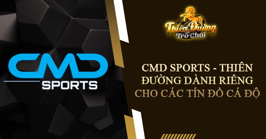 CMD Sports - Thiên đường dành riêng cho các tín đồ cá độ 4 CMD Sports - Thiên đường dành riêng cho các tín đồ cá độ