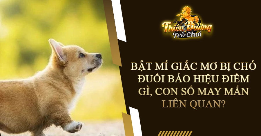 Bật mí giấc mơ bị chó đuổi báo hiệu điềm gì, con số may mắn liên quan?